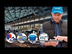 How to save labor/reduce mastitis/precise breeding/improve cattle health in modern dairy farms | KLN