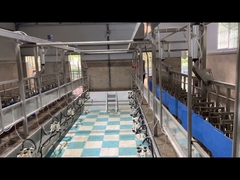 Milking system Farms Dairy Flexible goat milking parlor  High Productivity milking parlor equipment