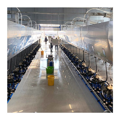 Sala de estar elétrica de desenhos em espinha da exploração agrícola de leiteria que ordenha sistemas 100 vacas pela hora