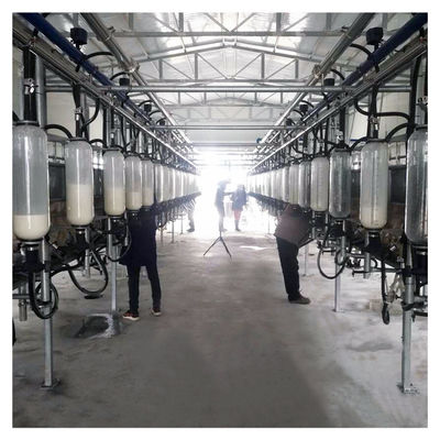 sala de estar de ordenha de desenhos em espinha de 380v 7.5kw para a exploração agrícola da cabra