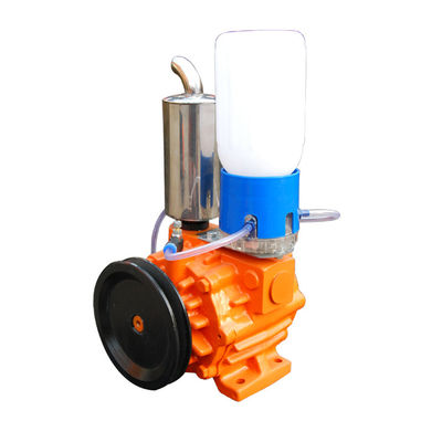 Vácuo alto giratório de Vane Type Vacuum Pump 220V 50Hz 1Phase das fases dobro