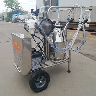 2 cubetas 220L/Min Cow Farm Milk Machine 24 vacas pela hora