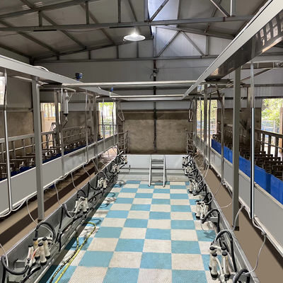 Equipamento novo da condição da sala de estar de ordenha da cabra dos carneiros do medidor elétrico de Digitas