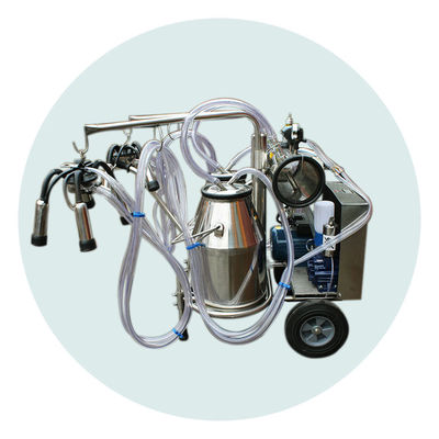 2 cubetas 220L/Min Cow Farm Milk Machine 24 vacas pela hora