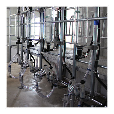 Linhas paralelas máquina automática do leite da sala de estar de ordenha de desenhos em espinha de 20T/H