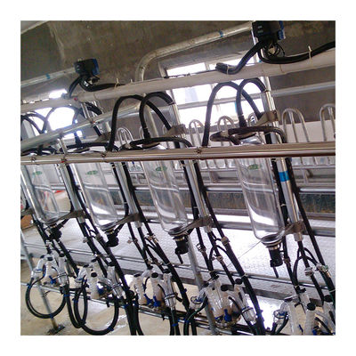 Linhas paralelas máquina automática do leite da sala de estar de ordenha de desenhos em espinha de 20T/H