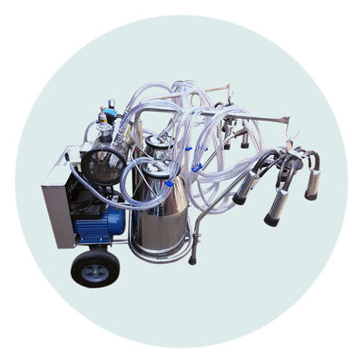 produto comestível de máquina de ordenha da vaca de leiteria 180V de aço inoxidável