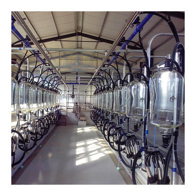 tipo sala de estar de desenhos em espinha de ordenha automática de baixo nível de ruído da sala de estar de ordenha da unidade de 5T/h 20