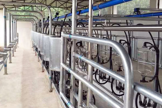 Medidor elétrico automático paralelo do leite da sala de estar de ordenha da vaca da liberação rápida