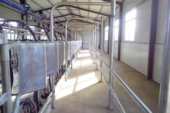 Medidor elétrico automático paralelo do leite da sala de estar de ordenha da vaca da liberação rápida
