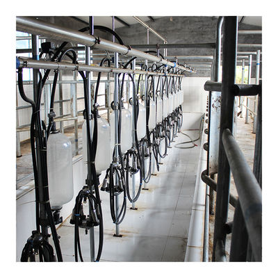 Sala de estar de ordenha de desenhos em espinha dos carneiros do equipamento agrícola da leiteria com a garrafa de medição de vidro