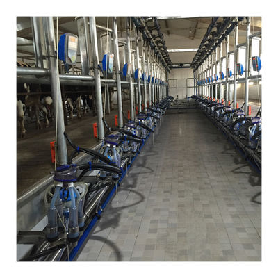 Máquina de ordenha de trabalho de desenhos em espinha do vácuo 50KPa 2.2kw para a exploração agrícola de leiteria