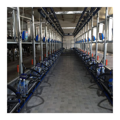 Máquina de ordenha de trabalho de desenhos em espinha do vácuo 50KPa 2.2kw para a exploração agrícola de leiteria