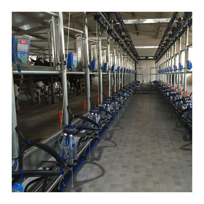 Máquina de ordenha de trabalho de desenhos em espinha do vácuo 50KPa 2.2kw para a exploração agrícola de leiteria