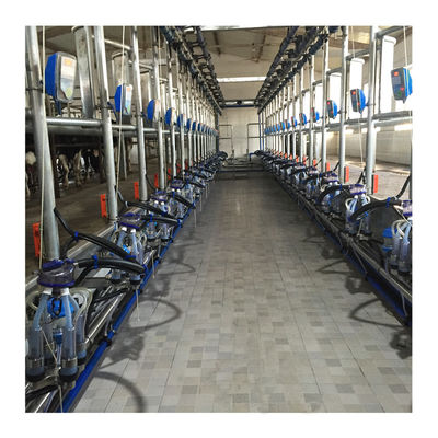 Máquina de ordenha de trabalho de desenhos em espinha do vácuo 50KPa 2.2kw para a exploração agrícola de leiteria