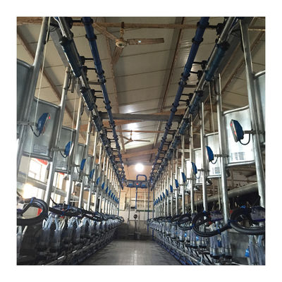 Máquina de ordenha de trabalho de desenhos em espinha do vácuo 50KPa 2.2kw para a exploração agrícola de leiteria