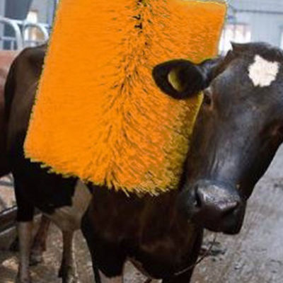 A massagem da vaca do equipamento da criação de animais de aves domésticas escova o gerencio acobarda a rapagem escova