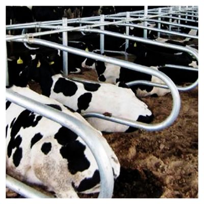 Prova livre da oxidação do celeiro da tenda da altura 95cm para a exploração agrícola de leiteria