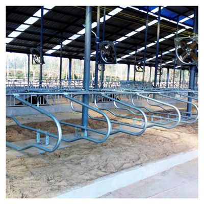 Prova livre da oxidação do celeiro da tenda da altura 95cm para a exploração agrícola de leiteria