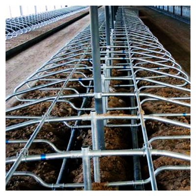 Prova livre da oxidação do celeiro da tenda da altura 95cm para a exploração agrícola de leiteria