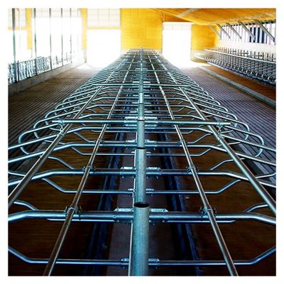 celeiro livre da tenda de 200cm galvanizado em volta do tubo e da tubulação de Stell para a vaca