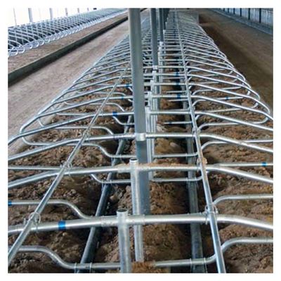 Tendas livres de dobra ergonômicas do gado do equipamento de cultivo da vaca do único lado