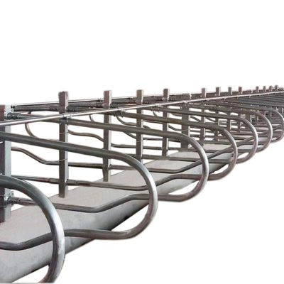 Prova livre da oxidação do celeiro da tenda da altura 95cm para a exploração agrícola de leiteria