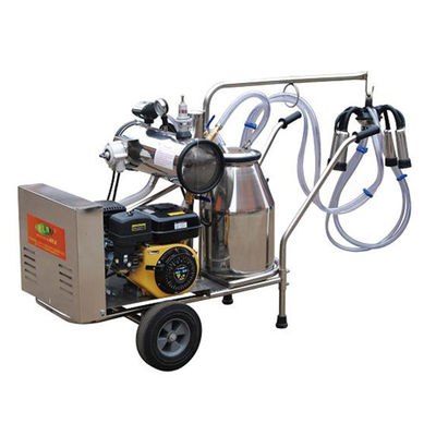 equipamento automático da ordenha de carneiros da máquina SS304 do leite 24cows/H