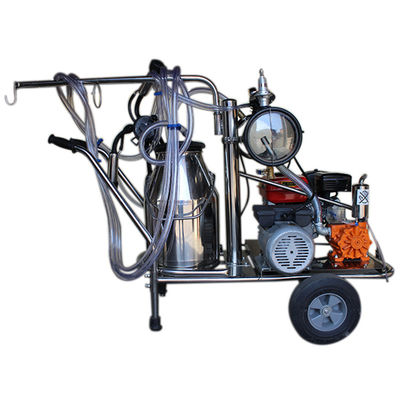 equipamento automático da ordenha de carneiros da máquina SS304 do leite 24cows/H