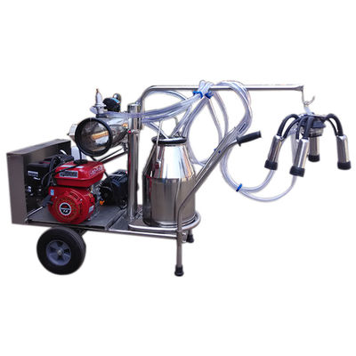 equipamento automático da ordenha de carneiros da máquina SS304 do leite 24cows/H