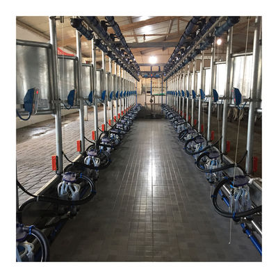 Medidor elétrico automático paralelo do leite da sala de estar de ordenha da vaca da liberação rápida