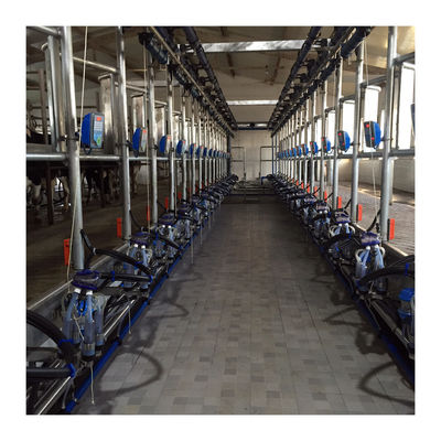 Máquina da sução do leite de vaca da sala de estar de ordenha de desenhos em espinha da eficiência elevada 4KW