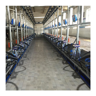 Máquina da sução do leite de vaca da sala de estar de ordenha de desenhos em espinha da eficiência elevada 4KW
