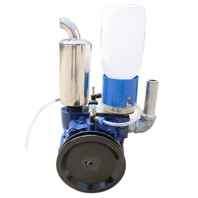 Freio elétrico líquido da bomba de vácuo de Ring Single Stage Rotary Vane