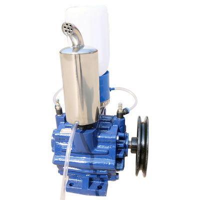 Freio elétrico líquido da bomba de vácuo de Ring Single Stage Rotary Vane