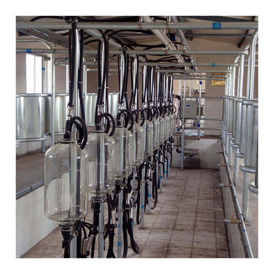 Sala de estar de ordenha de desenhos em espinha da exploração agrícola de leiteria 4KW com vidro do produto comestível