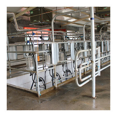 Sala de estar de ordenha de desenhos em espinha da exploração agrícola de leiteria 4KW com vidro do produto comestível