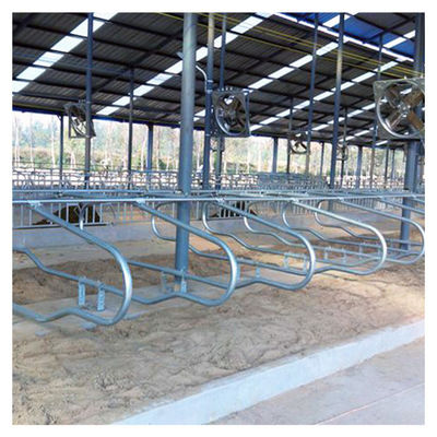 Laços livres livres galvanizados quentes da tenda do celeiro ISO9001 da tenda