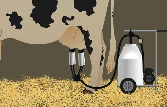 Bomba de vácuo elétrica portátil da cabra da máquina de ordenha da vaca móvel do motor diesel