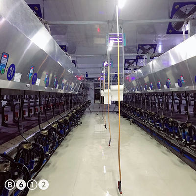 Máquina automática eletrônica da vaca da sala de estar de ordenha de desenhos em espinha da metrologia