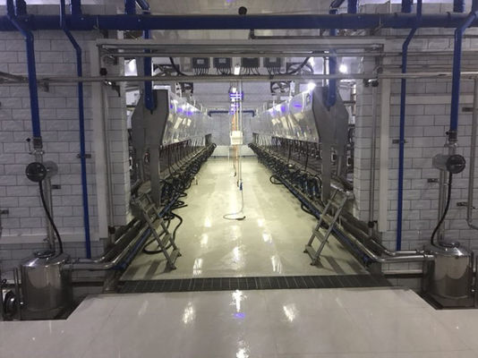 Máquina automática eletrônica da vaca da sala de estar de ordenha de desenhos em espinha da metrologia