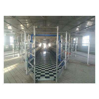 Equipamento eletrônico do medidor da sala de estar de ordenha de desenhos em espinha da vaca da cabra da planta