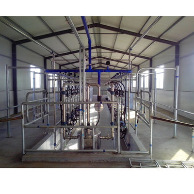 Sala de estar de desenhos em espinha SS304 que ordenha o equipamento da vaca de leiteria dos sistemas