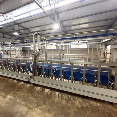 Equipamento rápido paralelo da sala de estar de ordenha do modo dos carneiros fácil de operar