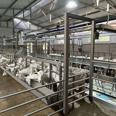 Do equipamento alto da sala de estar de ordenha da produtividade da leiteria das explorações agrícolas sala de estar de ordenha flexível da cabra