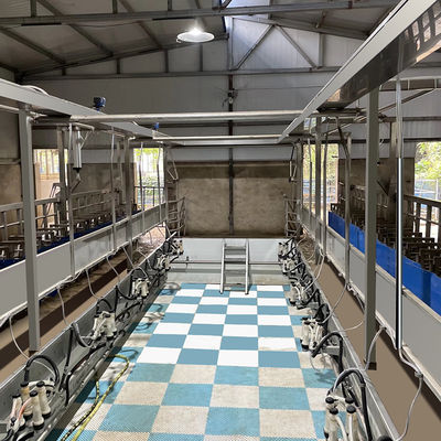 Equipamento rápido paralelo da sala de estar de ordenha do modo dos carneiros fácil de operar