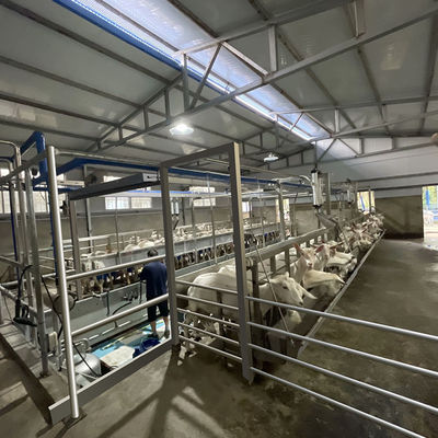 Equipamento novo da condição da sala de estar de ordenha da cabra dos carneiros do medidor elétrico de Digitas