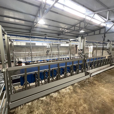 Equipamento novo da condição da sala de estar de ordenha da cabra dos carneiros do medidor elétrico de Digitas