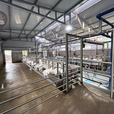 Equipamento novo da condição da sala de estar de ordenha da cabra dos carneiros do medidor elétrico de Digitas