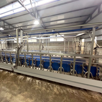 Calha de alimentação da sala de estar de ordenha de desenhos em espinha da cabra SUS304 tipo rápido encanamento da saída